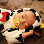 お宮参り写真撮影です。午前中に鈴鹿市白子の子安観音様にお参りに行っていましたので、疲れて寝ちゃいました。 スタジオバンビ鈴鹿/お宮参り写真撮影。着物の後に牛の着ぐるみで撮影。