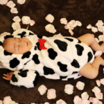 スタジオバンビ鈴鹿/お宮参り写真撮影。着物の後に牛の着ぐるみで撮影。花びらを散らしてみました
